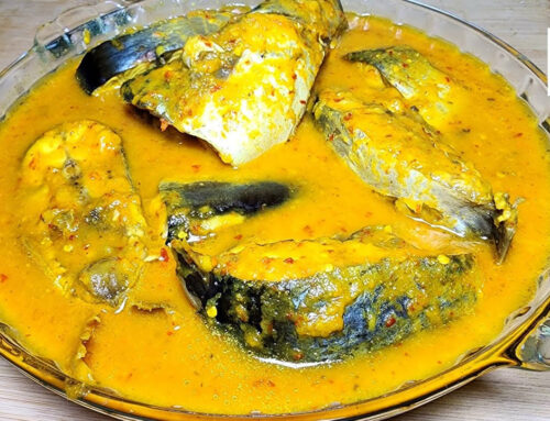 Kelezatan Otentik Tempoyak Ikan Patin Warisan Kuliner Sumatera