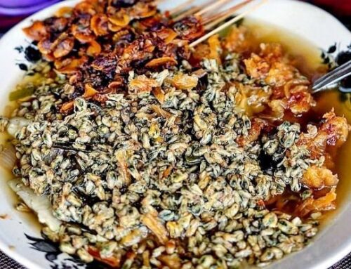 Kelezatan Lontong Kupang Sidoarjo Khas Jawa Timur